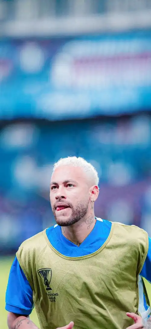 高的水准 高的水准